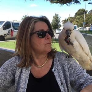 Meet your Posher, Shellie